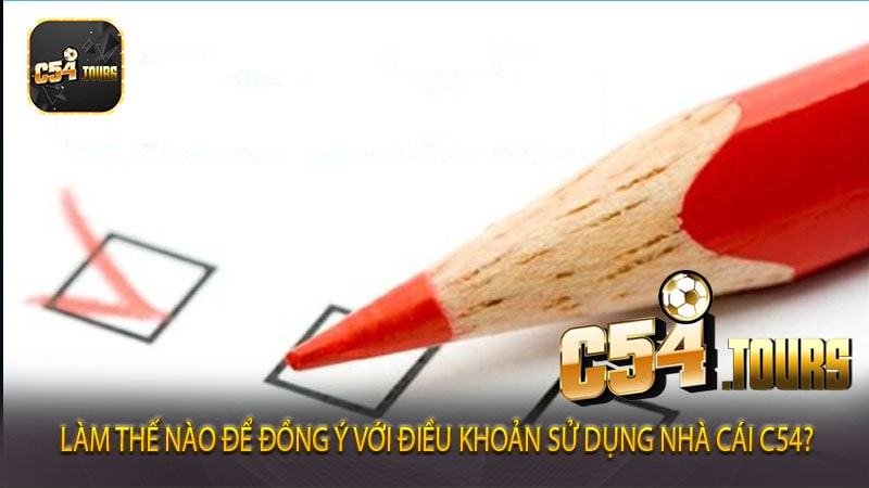 Điều khoản sử dụng nhà cái C54 - Uy tín An toàn tuyết đối - c54.tours